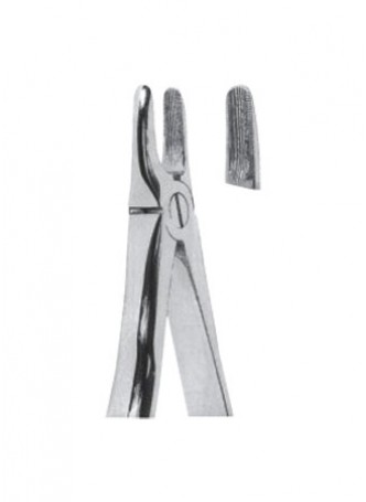 Extracting Forceps